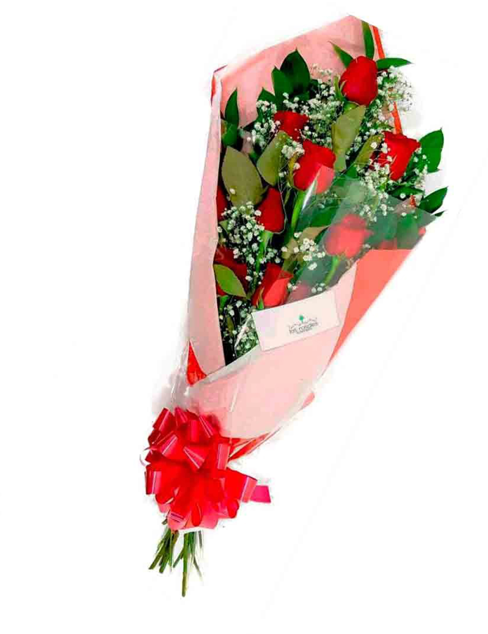 Ramo de rosas rojas para cumpleaños Mocoa - Floristerías en Bogotá al norte  a Domicilio