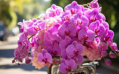 Orquídeas y Rosas en Bogotá Norte: La Combinación Perfecta entre Delicadeza y Pasión