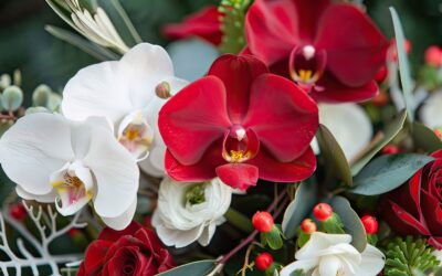 Venta de Orquídeas y Rosas: La Combinación que Enamora y Perdura
