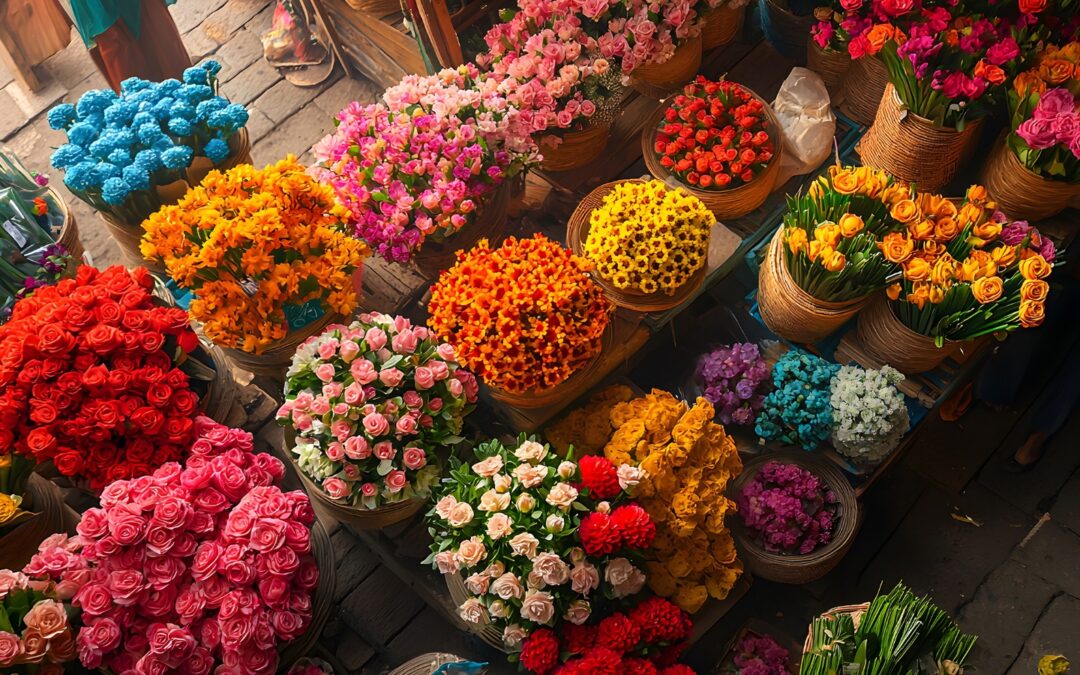 Flores norte Bogotá sin intermediarios | Compra directo