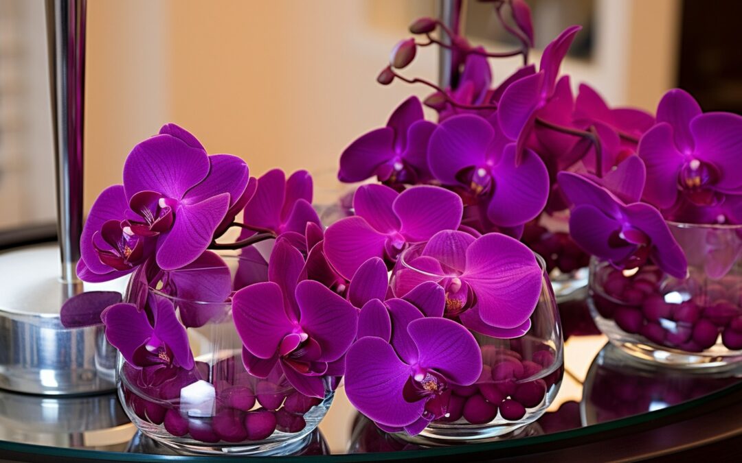 Orquídeas para cumpleaños: el regalo perfecto con significado