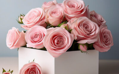 Cajas de rosas que crean momentos inolvidables